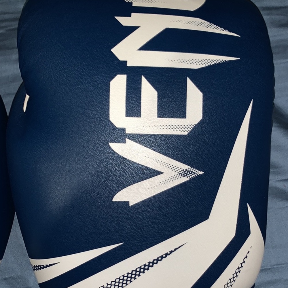 BWT Venum Boxing Gloves